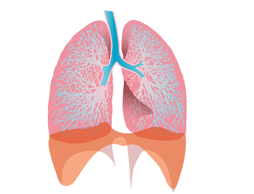 lung_surfactant_COVID19_SARS-CoV-2 – Journal of PeerScientist